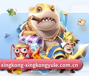 星空娱乐的成长历程与未来展望 - 体育资讯内容服务