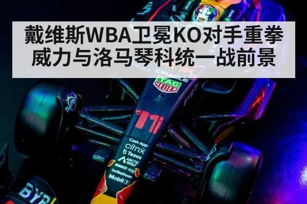戴维斯WBA卫冕KO对手重拳威力与洛马琴科统一战前景